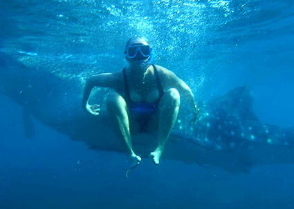 This image has an empty alt attribute; its file name is swimming-with-whale-sharks-1.jpg